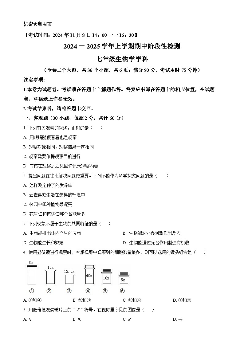 云南省昆明市八校联考2024-2025学年七年级上学期期中生物试题（原卷版）-A4第1页