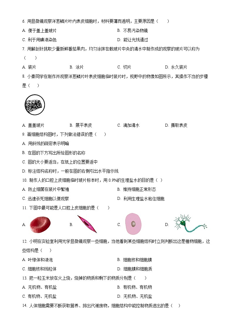 云南省昆明市八校联考2024-2025学年七年级上学期期中生物试题（原卷版）-A4第2页