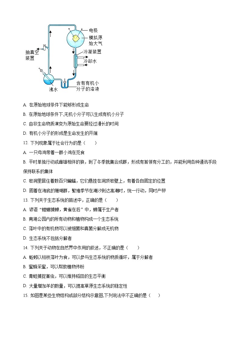 湖南省永州市京华中学2023-2024学年八年级上学期第三次月考生物试题（原卷版）-A4第3页