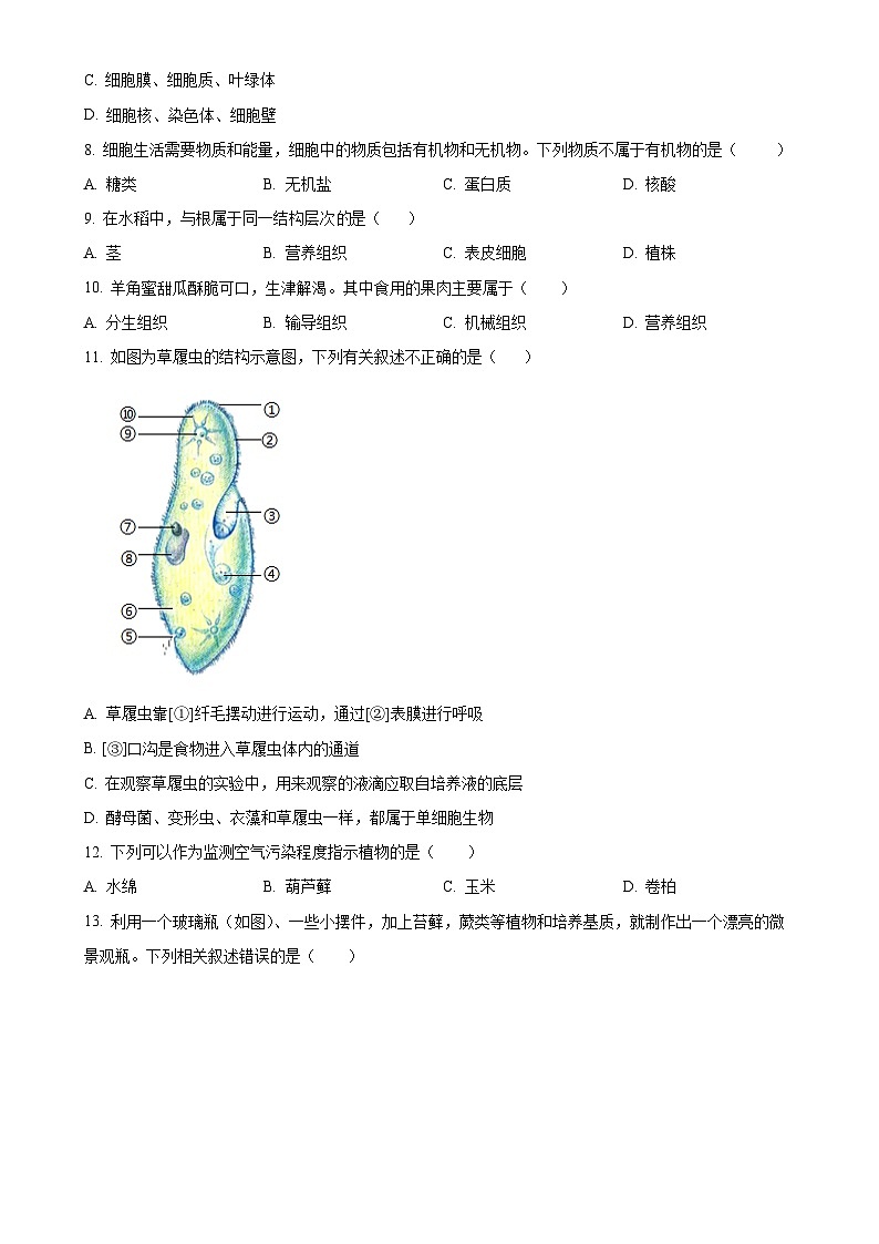 吉林省松原市前郭县农村联考名校调研系列卷2023-2024学年七年级上学期第三次月考生物试题（原卷版）-A4第2页