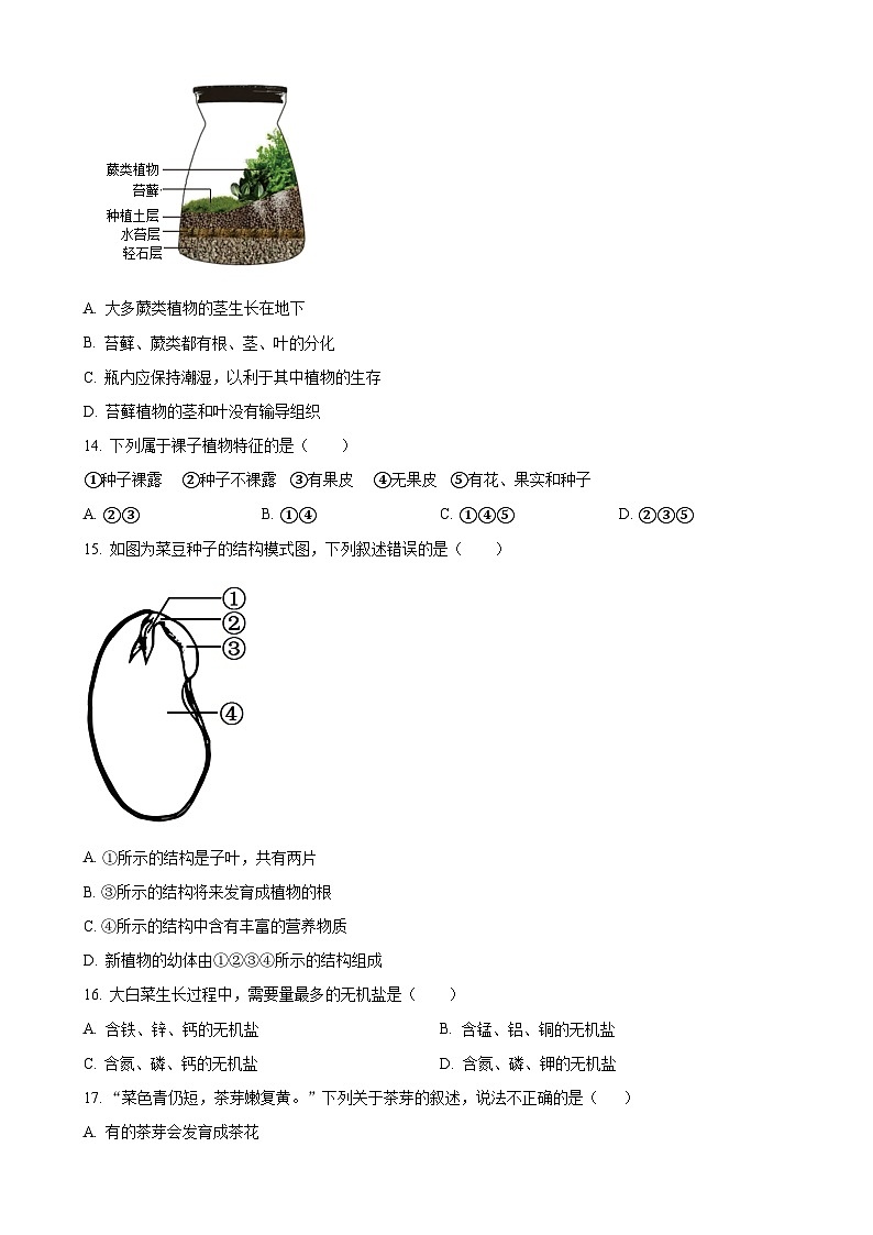吉林省松原市前郭县农村联考名校调研系列卷2023-2024学年七年级上学期第三次月考生物试题（原卷版）-A4第3页