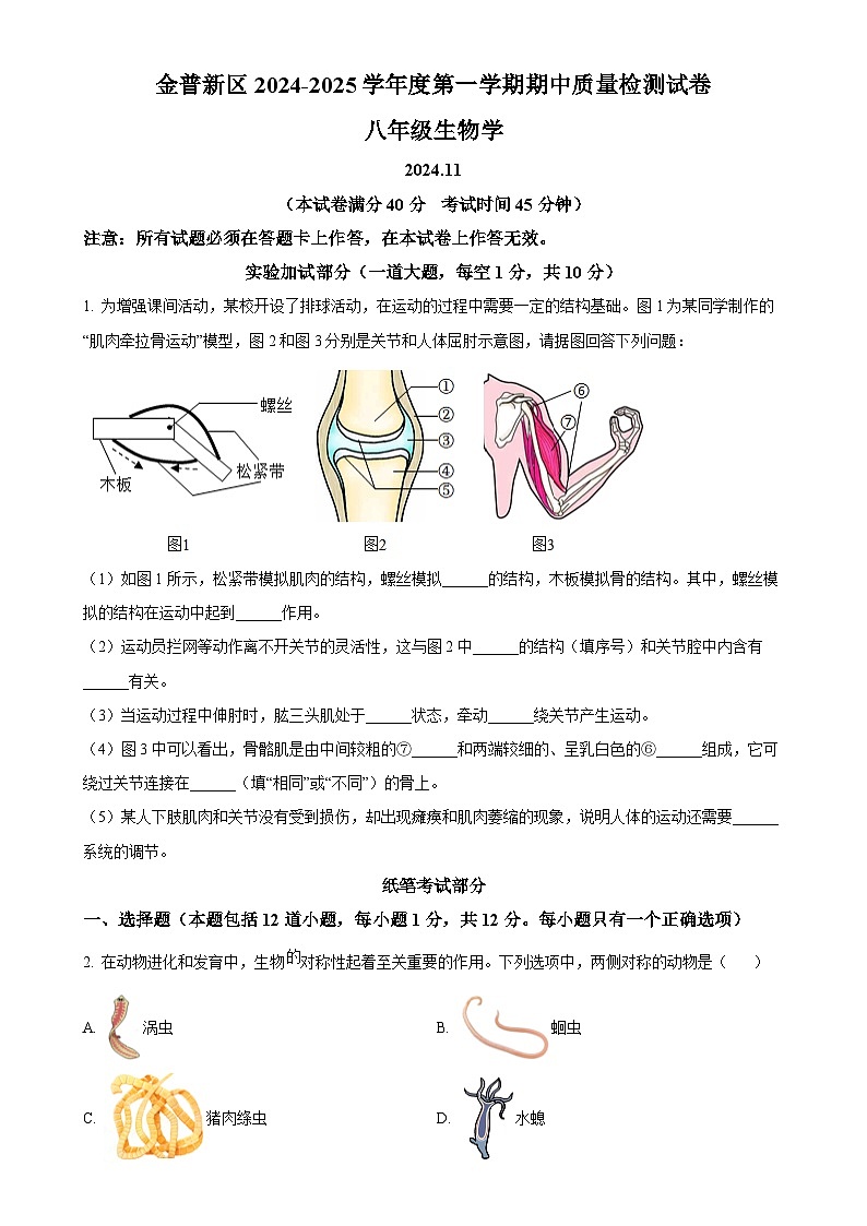 辽宁省大连市金州区2024-2025学年八年级上学期期中生物学试题（原卷版）-A4第1页