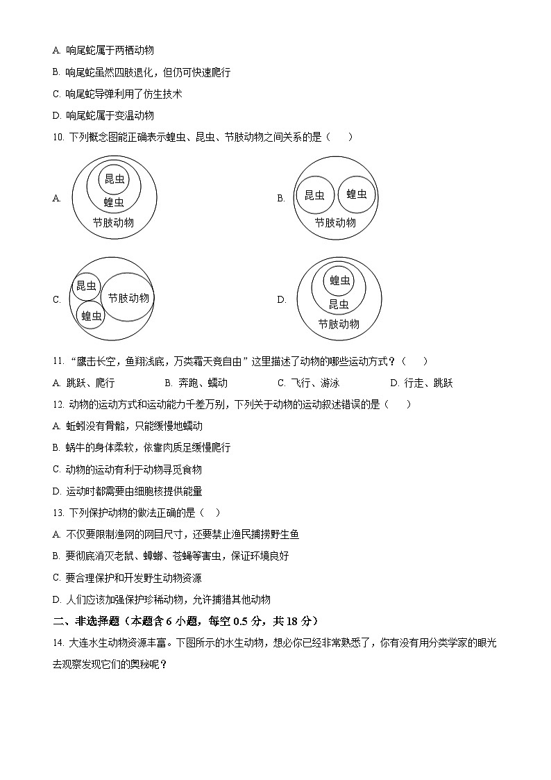 辽宁省大连市金州区2024-2025学年八年级上学期期中生物学试题（原卷版）-A4第3页