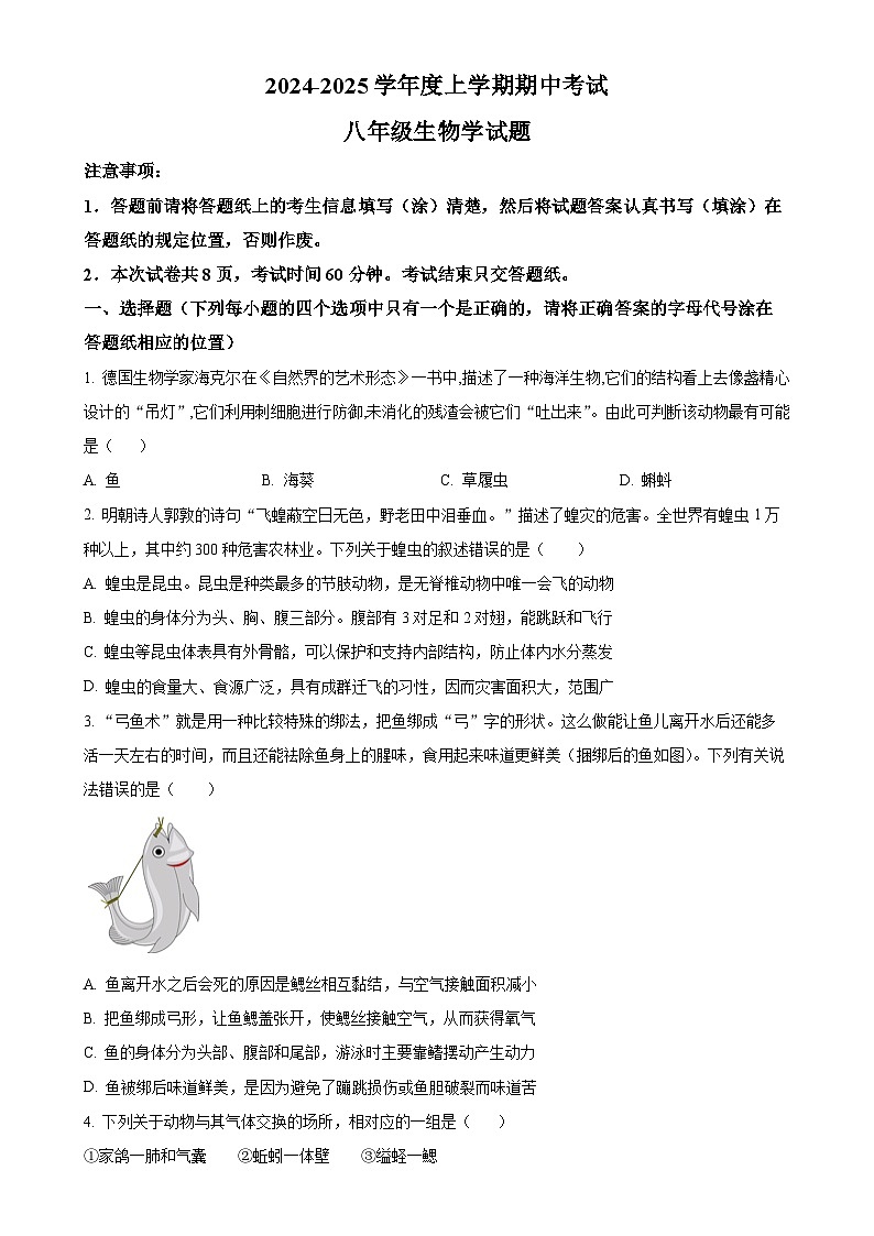 山东省泰安市肥城市2024-2025学年八年级上学期期中生物学试题（原卷版）-A4第1页