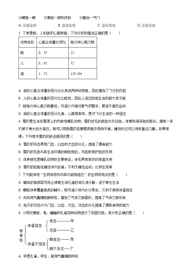 山东省泰安市肥城市2024-2025学年八年级上学期期中生物学试题（原卷版）-A4第2页