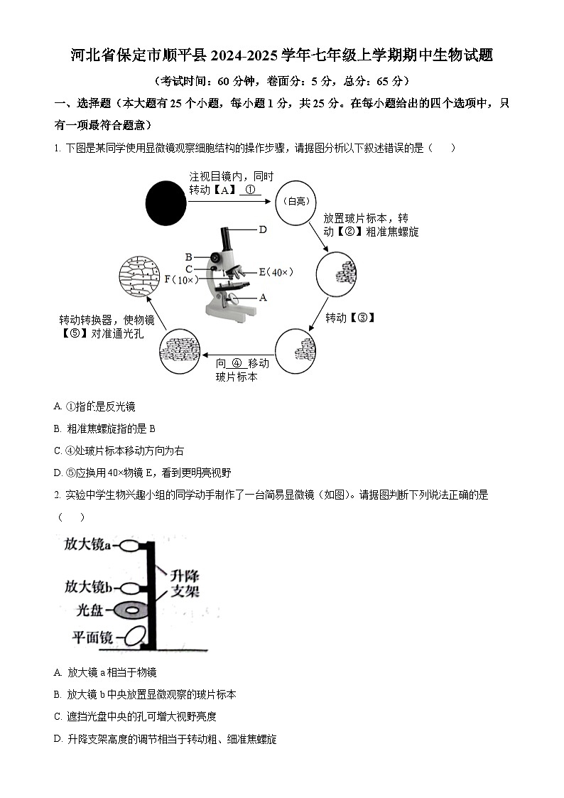 河北省保定市顺平县2024-2025学年七年级上学期期中生物试题（原卷版）-A4第1页