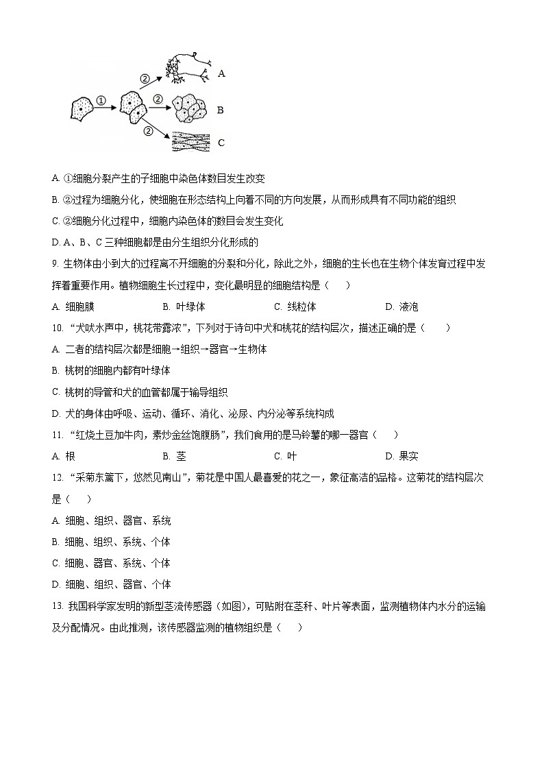 河北省保定市顺平县2024-2025学年七年级上学期期中生物试题（原卷版）-A4第3页