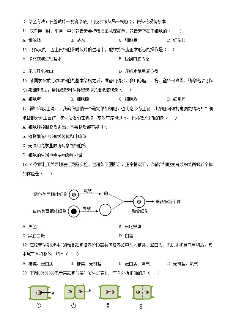 湖南省衡阳市蒸湘区联合考试2024-2025学年七年级上学期期中生物学试题（原卷版）-A4第3页