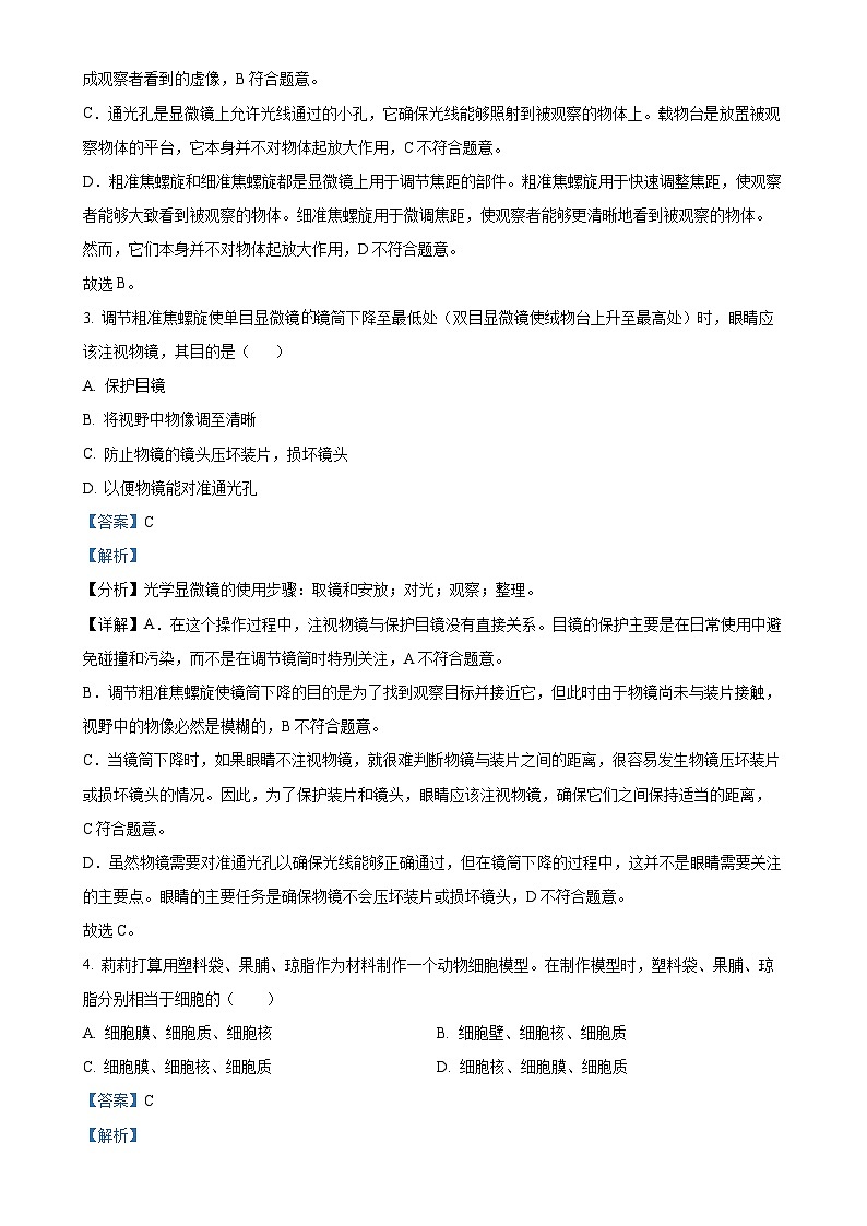 辽宁省沈阳市第七中学2024-2025学年七年级上学期期中生物试题（解析版）-A4第2页