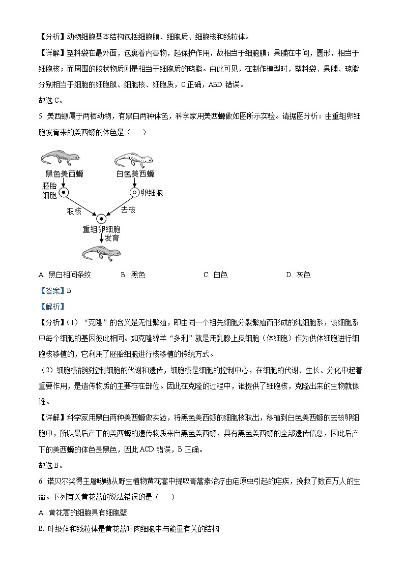 辽宁省沈阳市第七中学2024-2025学年七年级上学期期中生物试题（解析版）-A4第3页