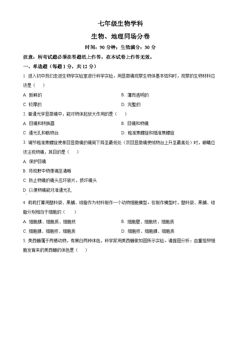 辽宁省沈阳市第七中学2024-2025学年七年级上学期期中生物试题（原卷版）-A4第1页