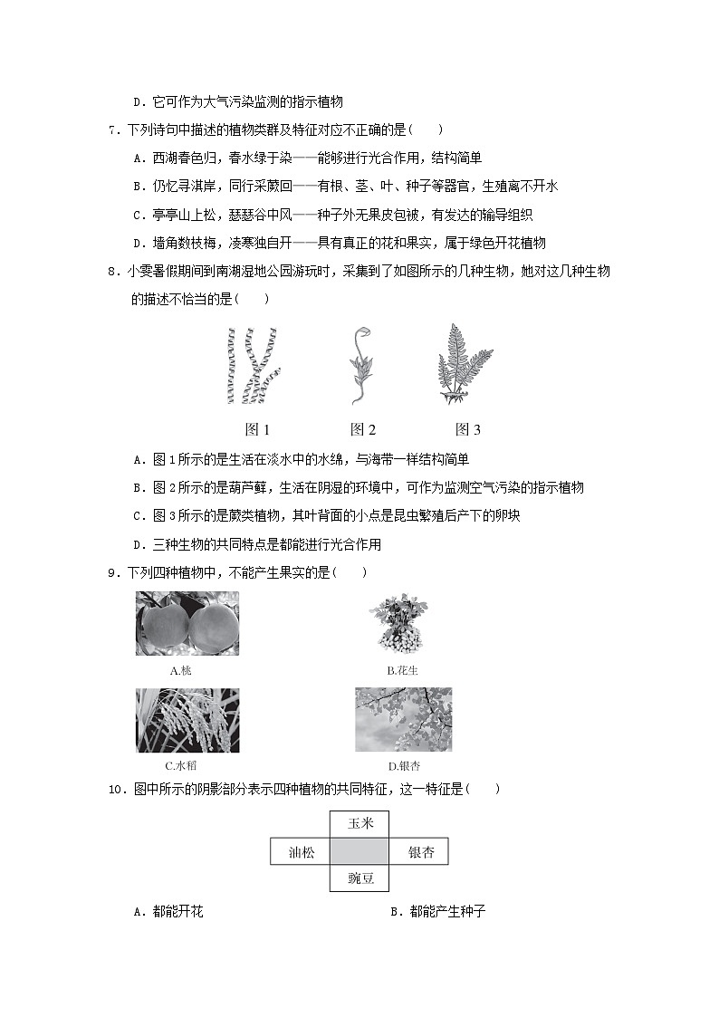2024七年级生物上册第一单元生物体的结构层次第一章细胞学情评估试卷（附答案冀少版）第2页