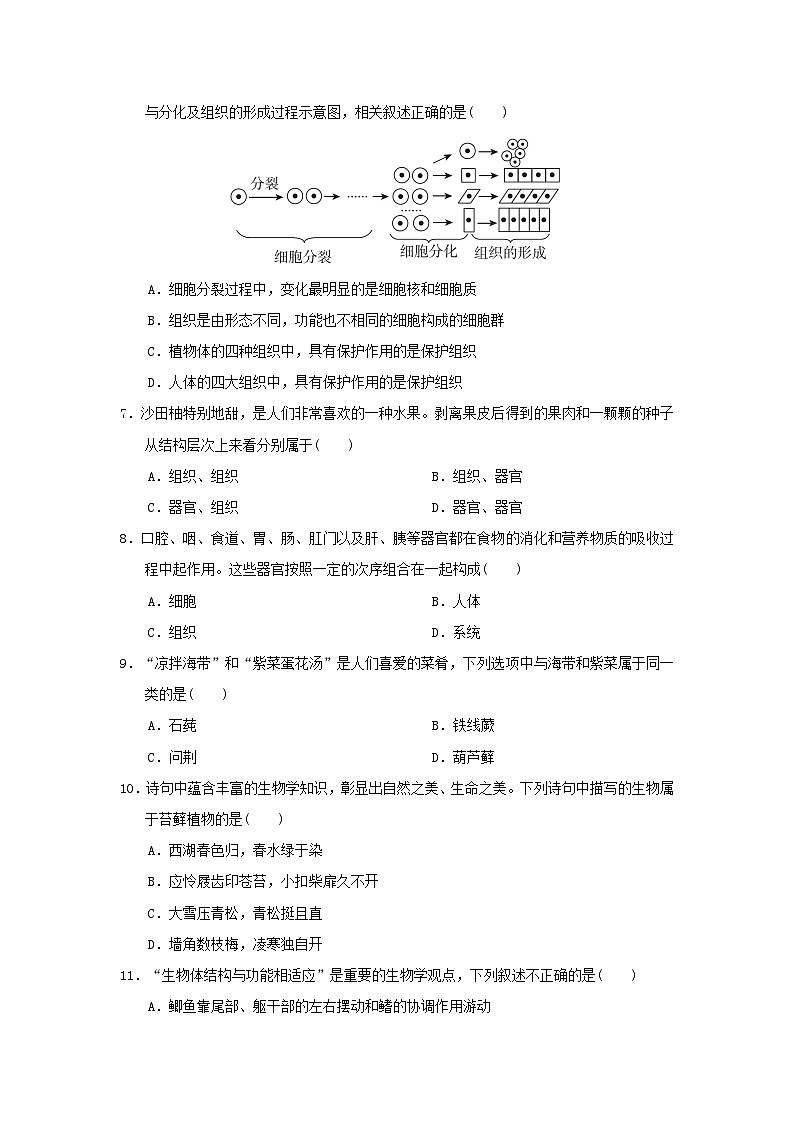 2024七年级生物上学期期末学情评估试卷（附答案冀少版）第2页