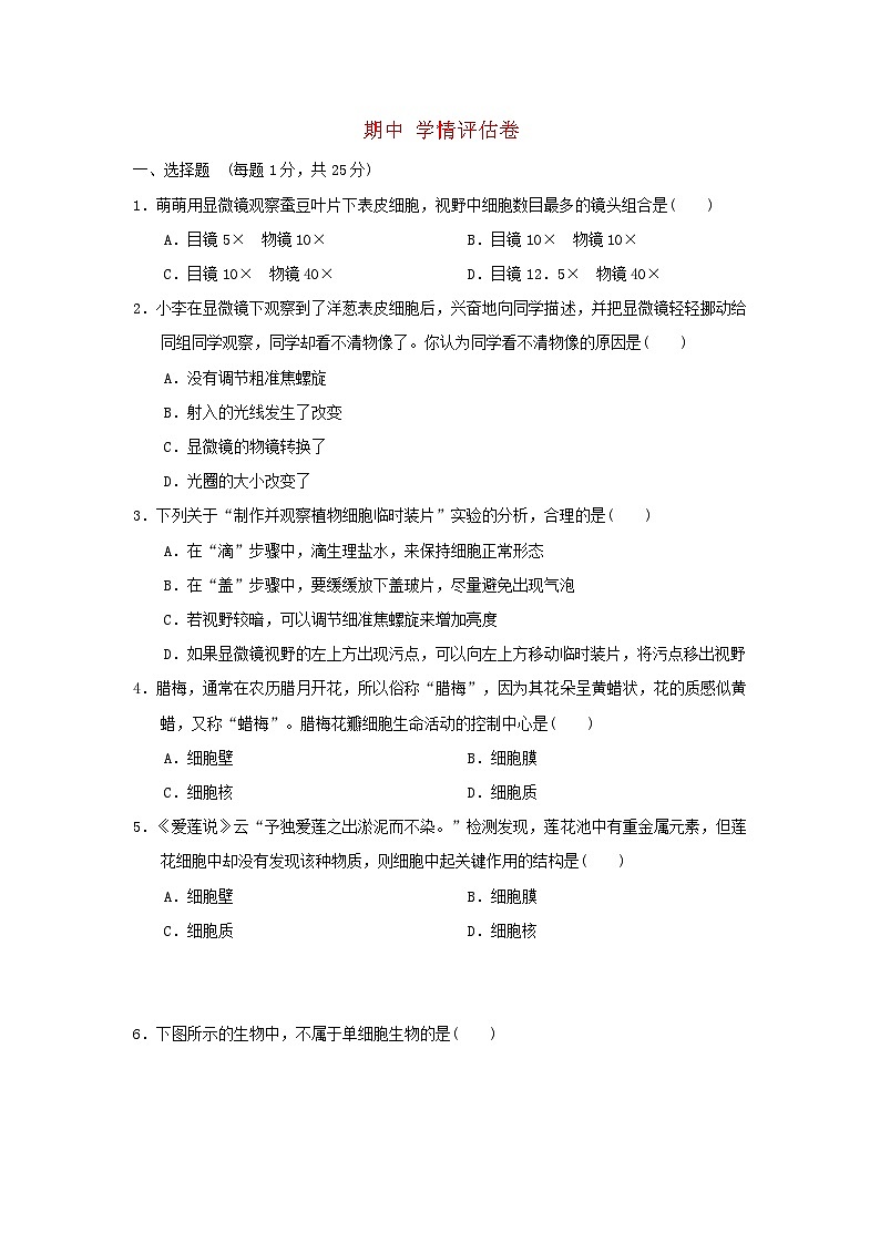 2024七年级生物上学期期中学情评估试卷（附答案冀少版）第1页