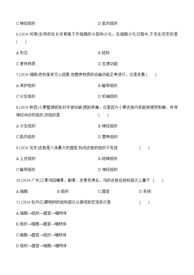 第04讲 细胞怎样构成生物体-【专题练习】2025年中考生物一轮复习专题练习（含答案）第2页