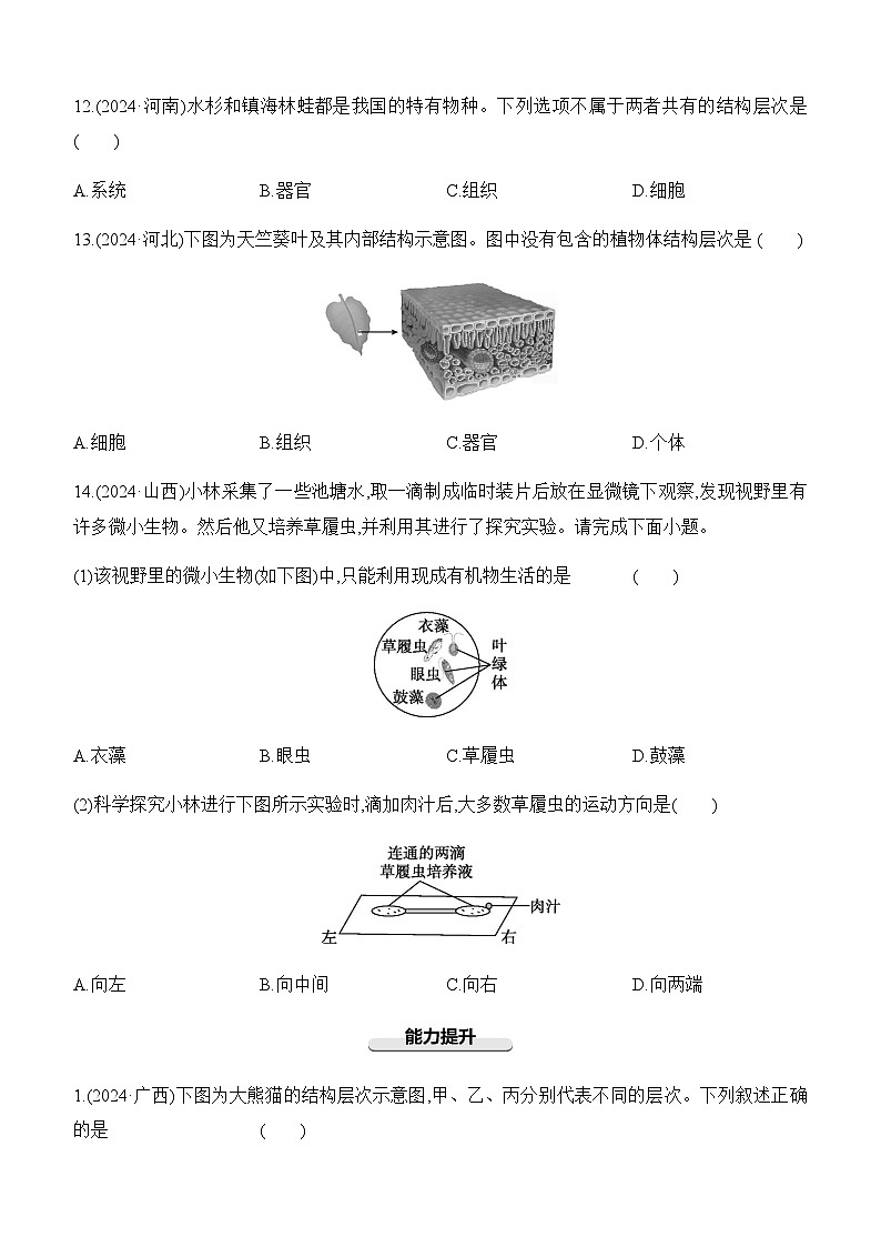 第04讲 细胞怎样构成生物体-【专题练习】2025年中考生物一轮复习专题练习（含答案）第3页