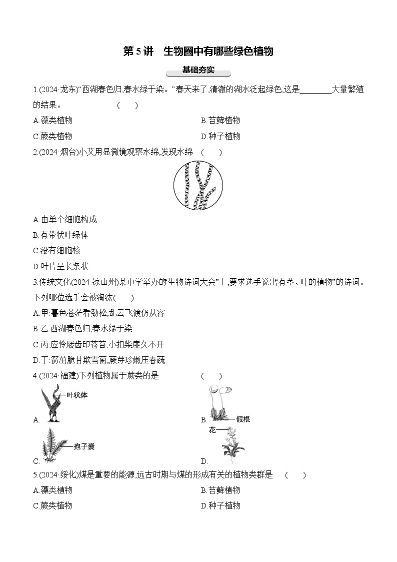第05讲 生物圈中有哪些绿色植物-【专题练习】2025年中考生物一轮复习专题练习（含答案）第1页