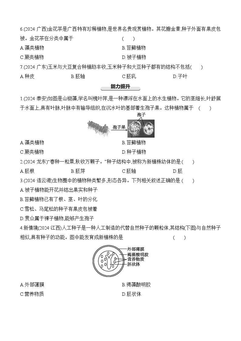 第05讲 生物圈中有哪些绿色植物-【专题练习】2025年中考生物一轮复习专题练习（含答案）第2页