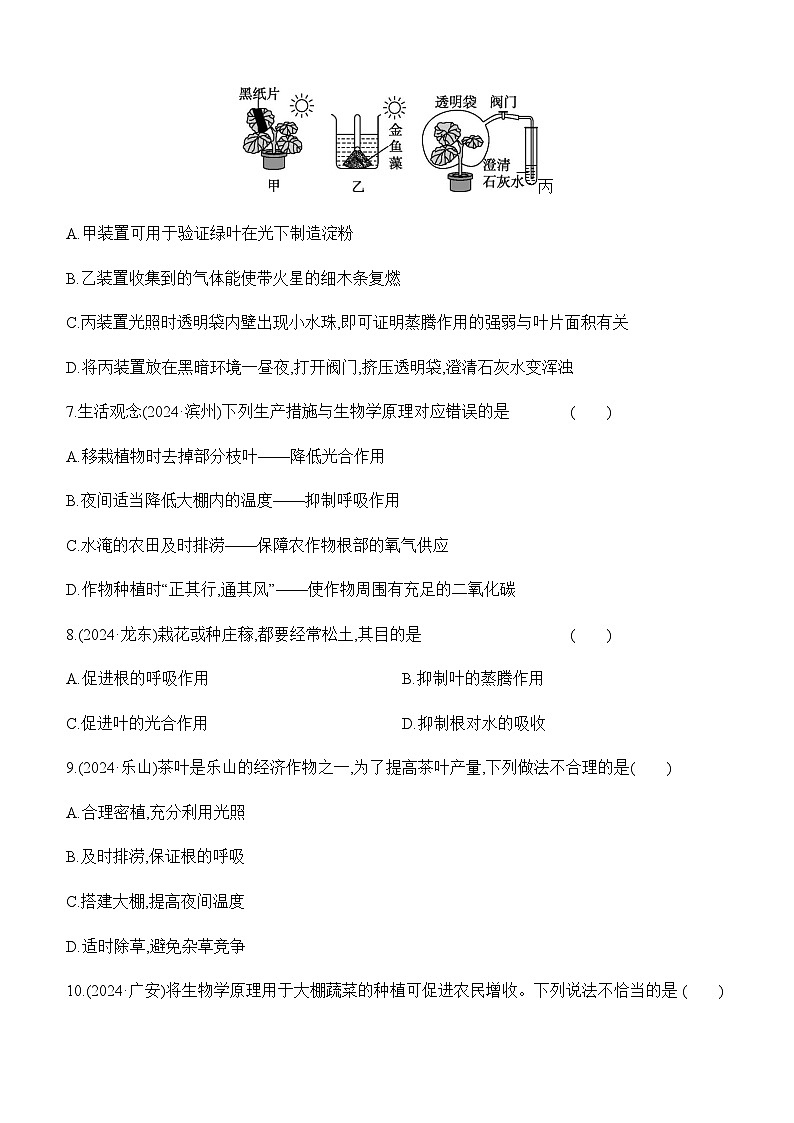 第08讲 植物的光合作用、呼吸作用与植物在生物圈中的作用-【专题练习】2025年中考生物一轮复习专题练习（含答案）第3页