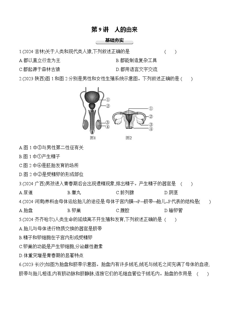 第09讲 人的由来-【专题练习】2025年中考生物一轮复习专题练习（含答案）第1页