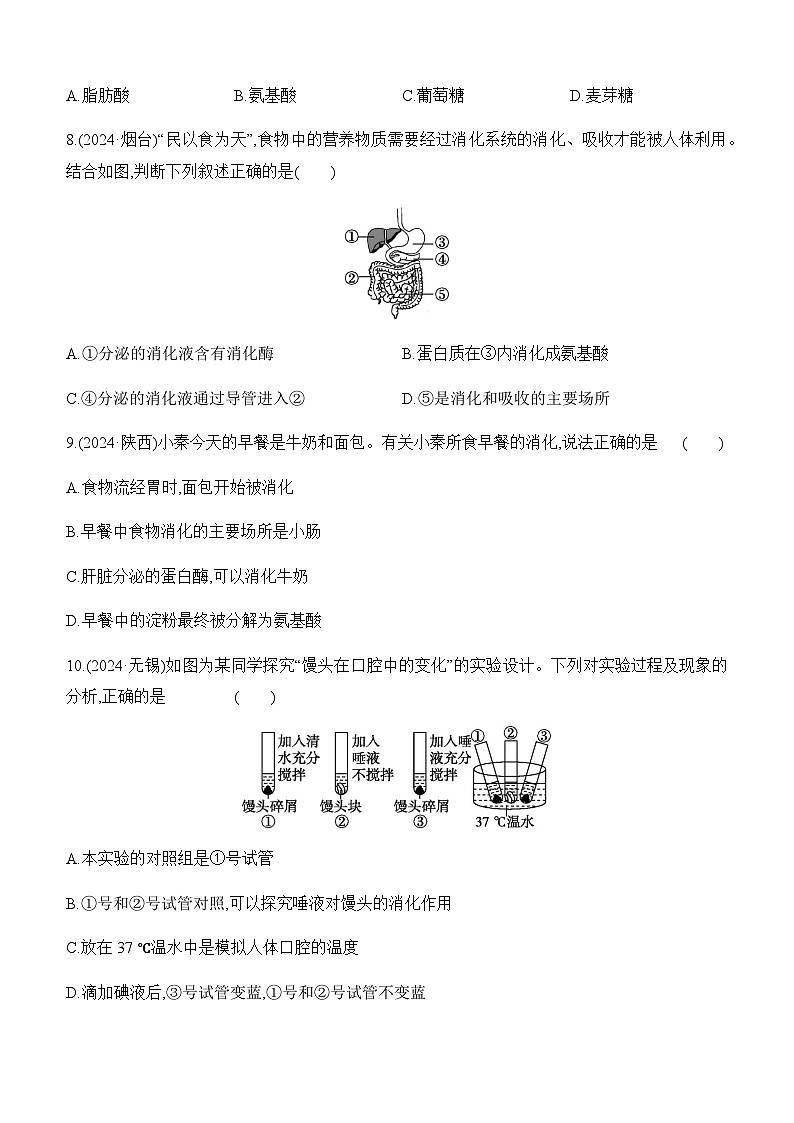 第10讲 人体的营养-【专题练习】2025年中考生物一轮复习专题练习（含答案）第2页