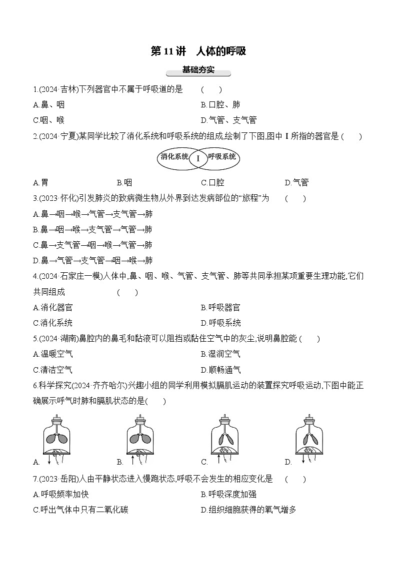 第11讲 人体的呼吸-【专题练习】2025年中考生物一轮复习专题练习（含答案）第1页