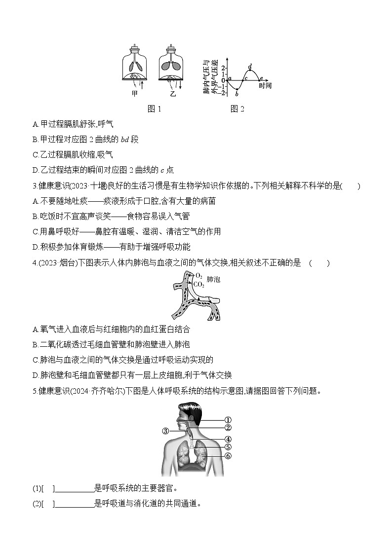 第11讲 人体的呼吸-【专题练习】2025年中考生物一轮复习专题练习（含答案）第3页