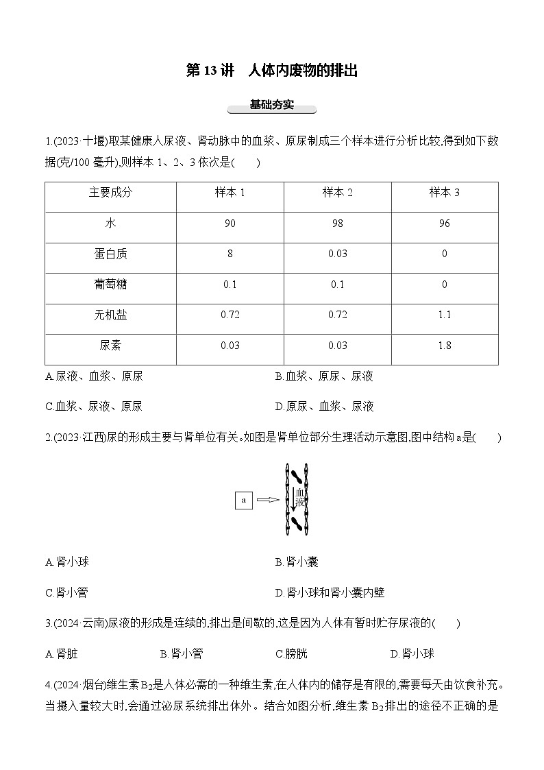 第13讲 人体内废物的排出-【专题练习】2025年中考生物一轮复习专题练习（含答案）第1页