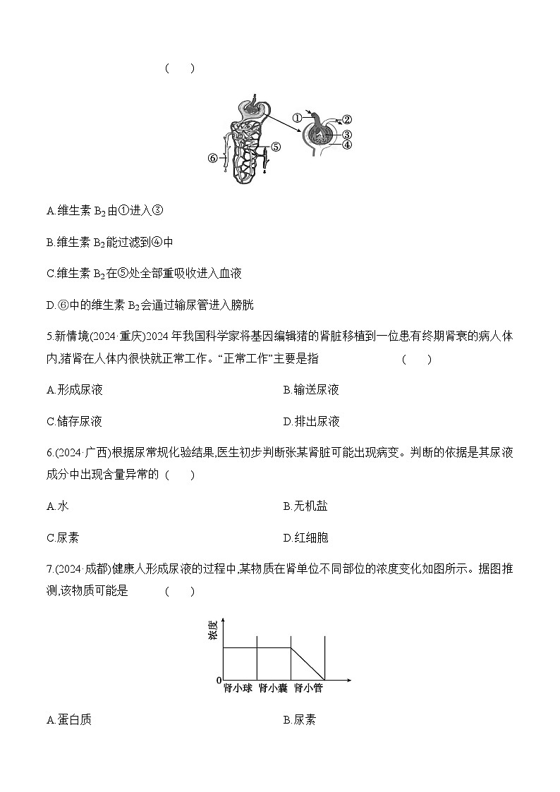 第13讲 人体内废物的排出-【专题练习】2025年中考生物一轮复习专题练习（含答案）第2页