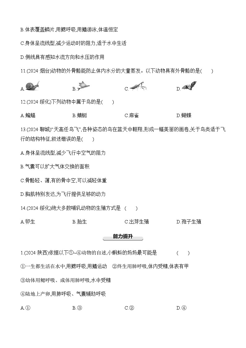 第15讲 动物的主要类群-【专题练习】2025年中考生物一轮复习专题练习（含答案）第3页