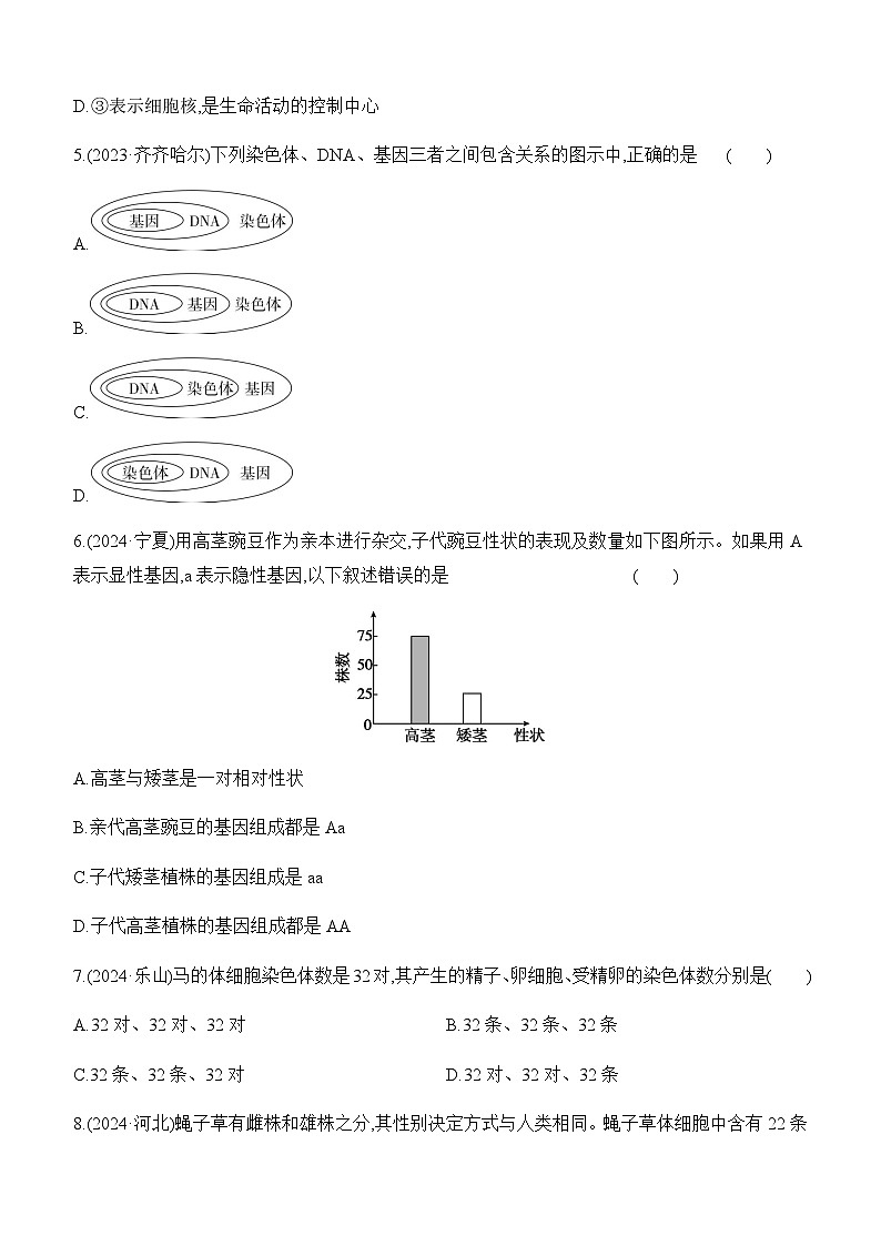 第20讲 生物的遗传与变异-【专题练习】2025年中考生物一轮复习专题练习（含答案）第2页