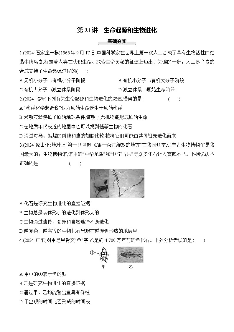 第21讲 生命起源和生物进化-【专题练习】2025年中考生物一轮复习专题练习（含答案）第1页