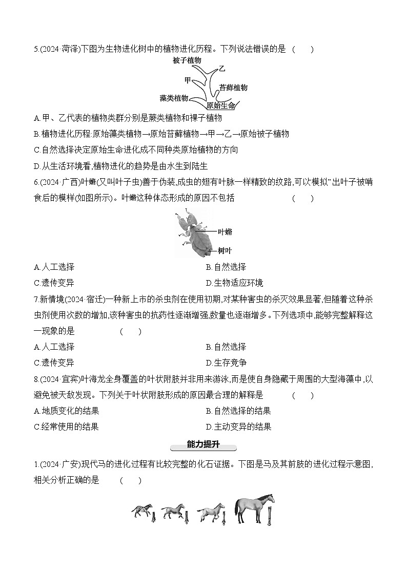 第21讲 生命起源和生物进化-【专题练习】2025年中考生物一轮复习专题练习（含答案）第2页