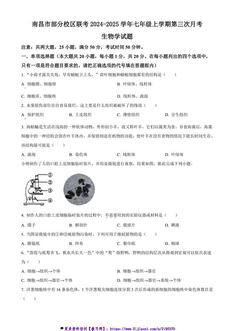 2024～2025学年江西省南昌市校区联考(月考)七年级(上)第三次月考生物试卷(含答案)第1页