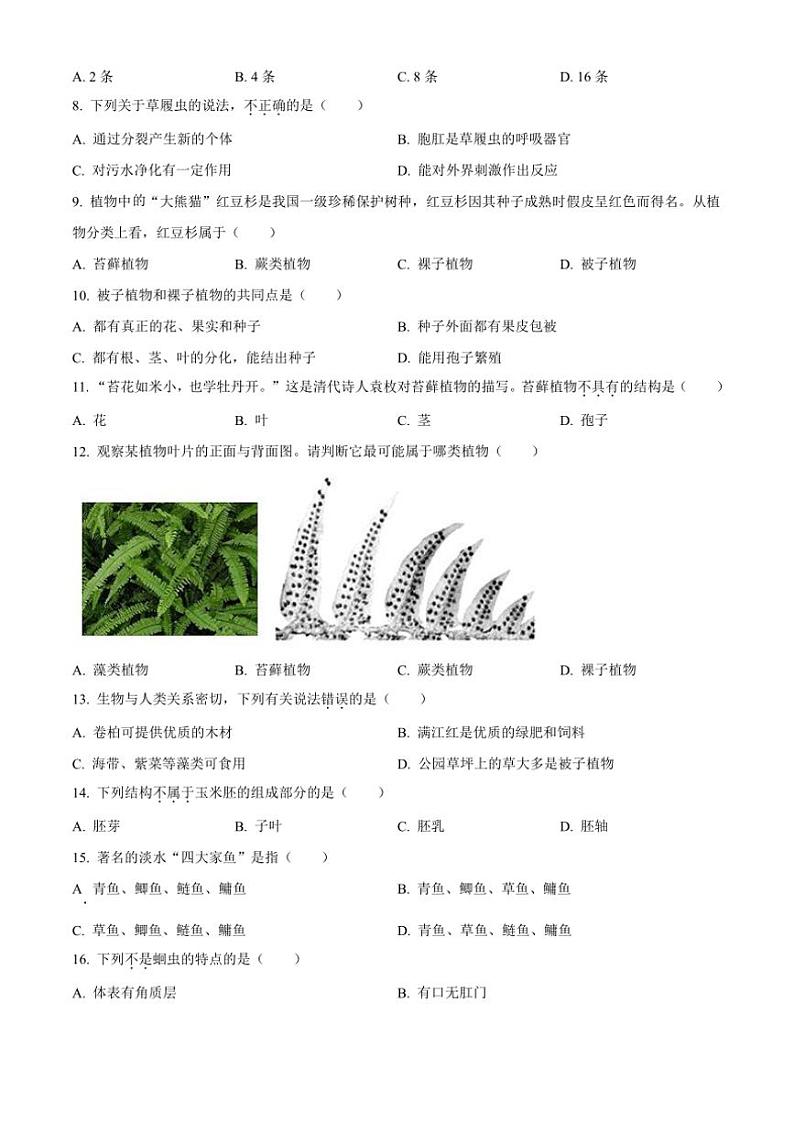 2024～2025学年江西省南昌市校区联考(月考)七年级(上)第三次月考生物试卷(含答案)第2页