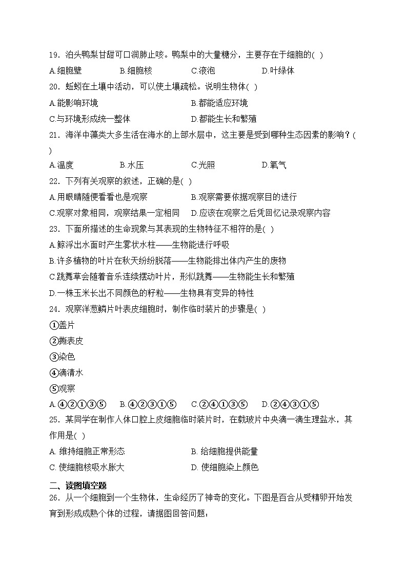 河北省沧州市泊头市2024-2025学年七年级上学期期中教学质量检测生物试卷(含答案)第3页