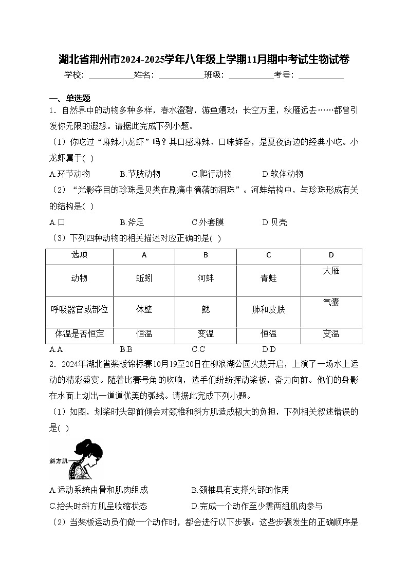 湖北省荆州市2024-2025学年八年级上学期11月期中考试生物试卷(含答案)第1页
