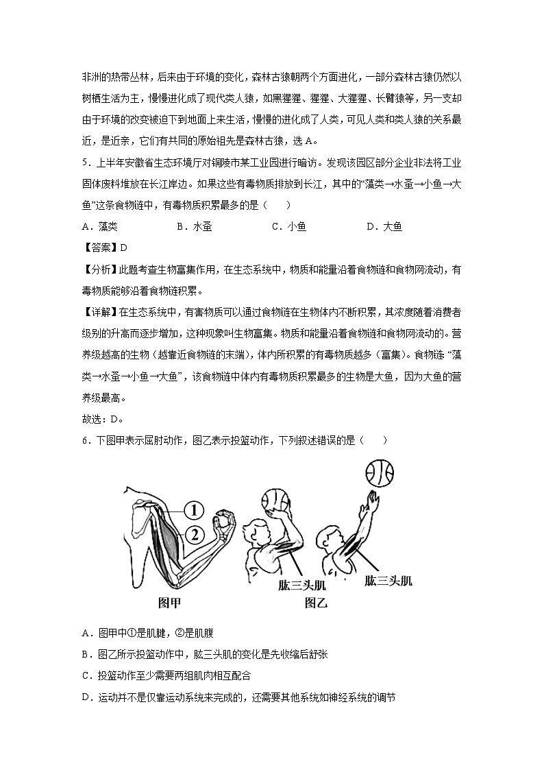 八年级（上）期末模拟卷（安徽专用）生物试卷（解析版）第3页