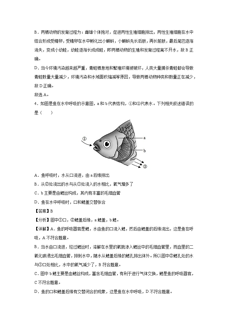 八年级（上）期末模拟卷（陕西专用）生物试卷（解析版）第3页