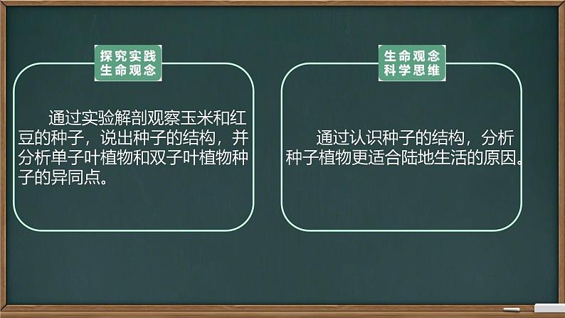 初中  生物  人教版（2024）  七年级上册第二节 种子植物 课件第6页