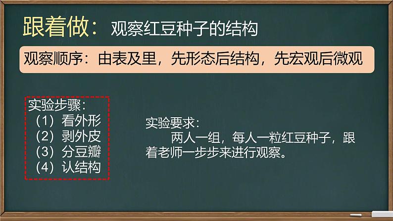 初中  生物  人教版（2024）  七年级上册第二节 种子植物 课件第8页