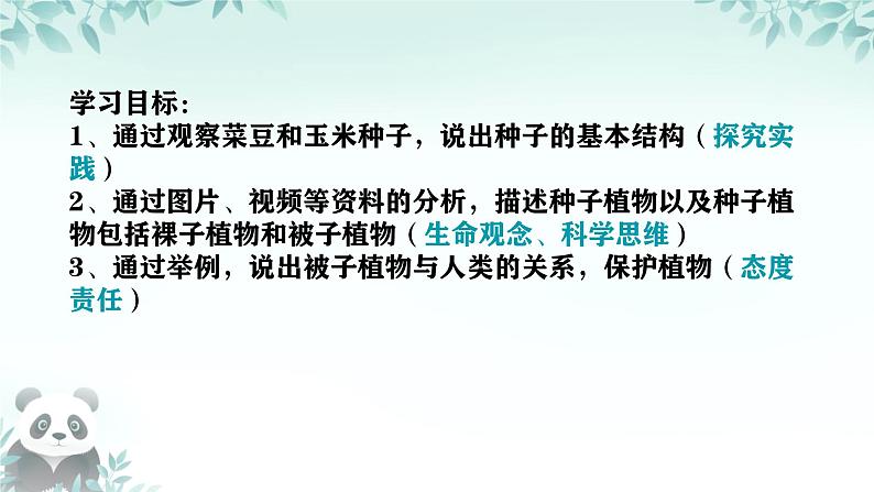 初中  生物  人教版（2024）  七年级上册第二节 种子植物 课件第2页