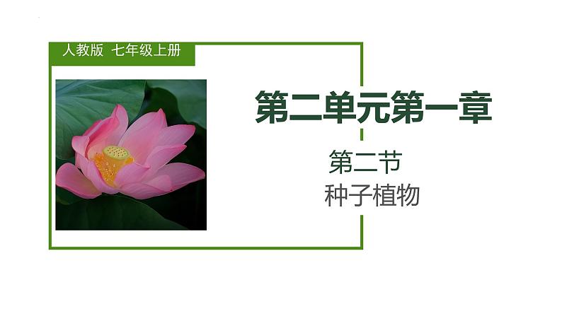 初中  生物  人教版（2024）  七年级上册第二节 种子植物 课件第1页