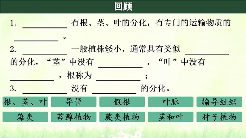 初中  生物  人教版（2024）  七年级上册第二节 种子植物 课件第1页