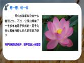 初中  生物  人教版（2024）  七年级上册第二节 种子植物 课件