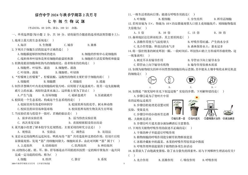 福建省龙岩市永定区侨育中学2024-2025学年七年级上学期第二次月考生物试题第1页