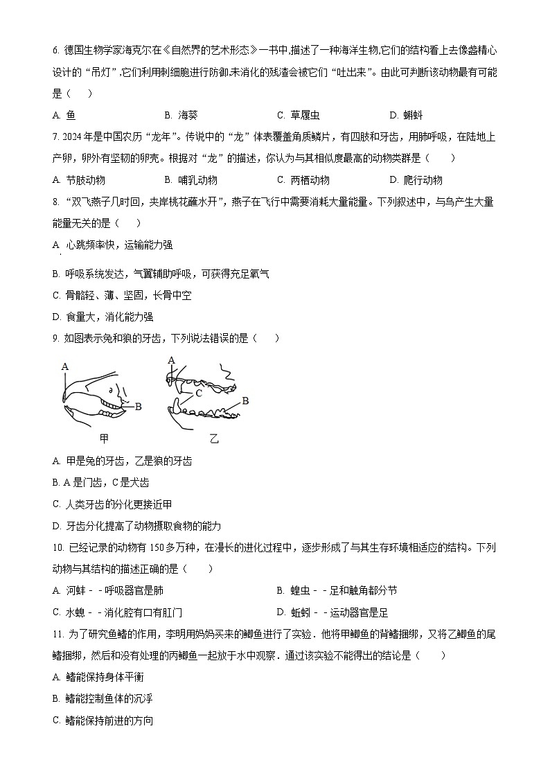 湖南省邵阳市新邵县2024-2025学年八年级上学期期中生物学试题（原卷版）-A4第2页