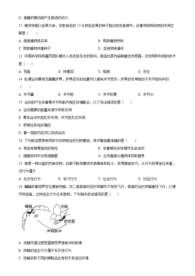 湖南省邵阳市新邵县2024-2025学年八年级上学期期中生物学试题（原卷版）-A4第3页