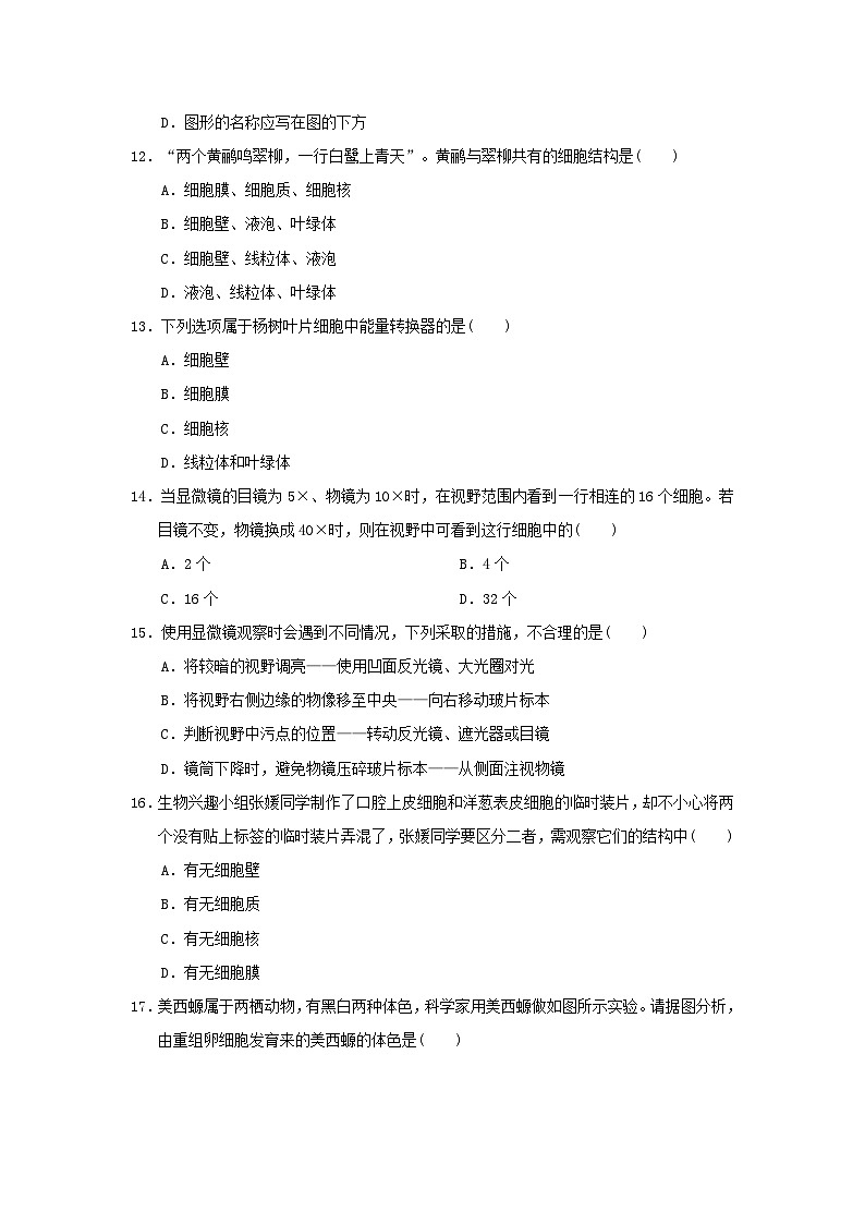 2024七年级生物上册第一单元生物和细胞第一二章学情评估试卷（附答案人教版）第3页