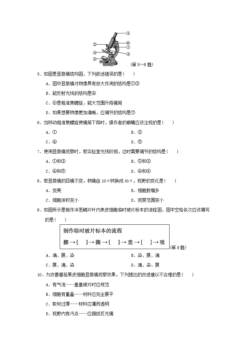 福建省2024七年级生物上册第一单元生物和细胞第一二章学情评估试卷（附答案人教版）第2页